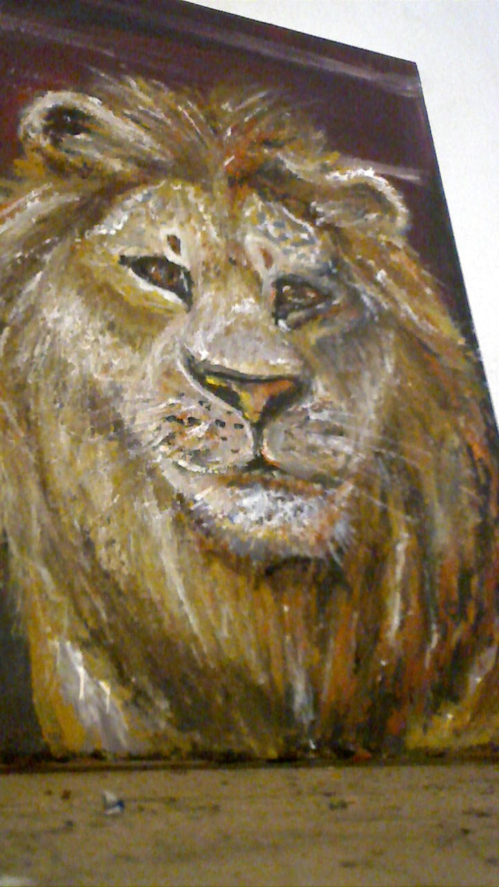 Toile-Lion-30x40cm